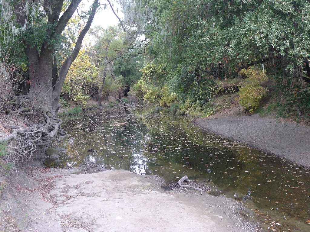 Napa 033
